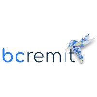 BCRemit logo - Similar company to Excubed