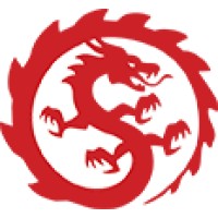 Longtail Dragon logo - Similar company to Repeatgrowth