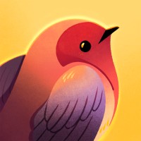 Blinkk logo - Similar company to Flying Comet Games