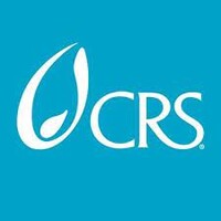 CRS Group-IT and Professional Staffing Agency logo - Similar company to Logical It Staffing
