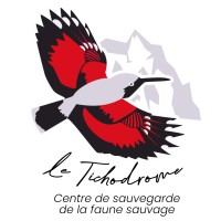 Le Tichodrome, Centre de sauvegarde de la faune sauvage en Isère logo - Similar company to Macedonian Ecological Society