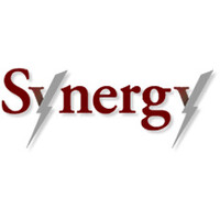 Synergy Investment, Inc. logo - Similar company to Alpha Delta, Inc.