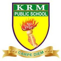 KRM PUBLIC SCHOOL logo - Similar company to Tribe Of Trees