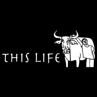This Life logo - Similar company to Intercraft.Eu