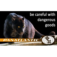 Panatlantic Logistics International GmbH logo - Similar company to American Trailer & Storage (At&S)