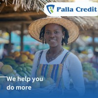 PALLA CREDIT LIMITED logo - Similar company to Aheri Care