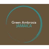 Green Ambrosia Jamaica