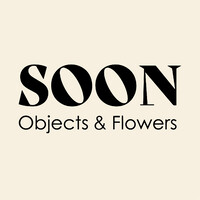 soon objects logo - Similar company to Pha
