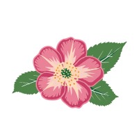 Capital City Club Crabapple