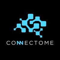 Connectome logo - Similar company to Connectome.Ai