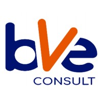 BVE Consult Limited logo - Similar company to Showroom Etc