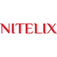 Nitelix logo - Similar company to Neksa Teknoloji