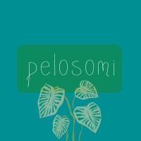 Pelosomi | Mugs & Letters