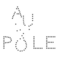 Pole Gauer logo - Similar company to Likedesign - Studio De Création Graphique