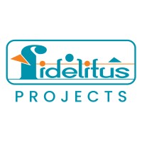 Fidelitus Projects logo - Similar company to Flipscape