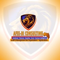 AFEE-BI Consulting Guinea224 logo - Similar company to Sogeac S.R.L.