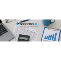SoBoFisc.ALL logo - Similar company to Daci.Tax