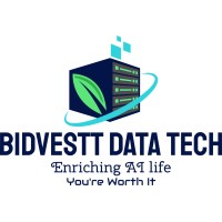 Bidvestt Data Tech logo - Similar company to Knowell Outsourcing