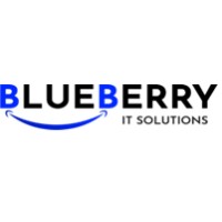 Blueberry It Solutions Pvt Ltd