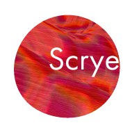 Scrye (Formerly Magnet Smart Networking) logo - Similar company to Tacsense Inc.