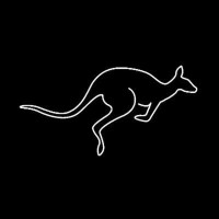 Kangonio logo - Similar company to Pingonio