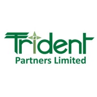 TRIDENT PARTNERS logo - Similar company to Trident Partners, Llc