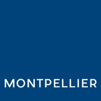 Montpellier Creative logo - Similar company to Digital Concept