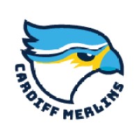 Cardiff Merlins Baseball logo - Similar company to Peppr