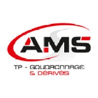 AMS TP logo - Similar company to Diss Group