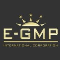 E-GMP International Corporation logo - Similar company to Ncis Global