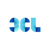 3CL Foundation logo - Similar company to Strategyworks