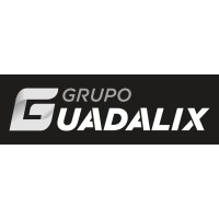 GRUPO GUADALIX logo - Similar company to Setram: Logística Vehículo Terminado