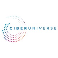 CIBERUNIVERSE logo - Similar company to Roc Intell