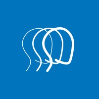 Brain Injury Association of Michigan logo - Similar company to The Karring Group