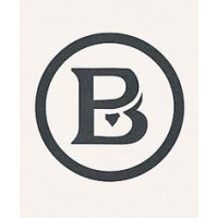 BonaMente Consulting logo - Similar company to Digital Madeasy