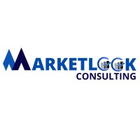 Marketlook Consulting logo - Similar company to Metalogic Consulting