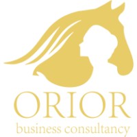 Orior Business Consultancy logo - Similar company to Brusch Services