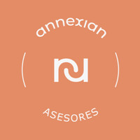 ANNEXIAN ASESORES logo - Similar company to Grupo Centro Sur