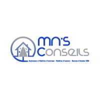 MN'S CONSEILS logo - Similar company to Lubies D'Archi