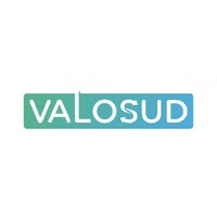Valosud logo - Similar company to Excellihome
