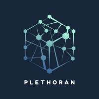 Plethoran Solutions logo - Similar company to Codeonce Consulting