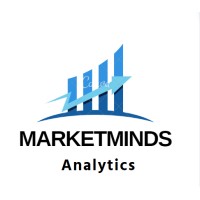 MarketMinds Analytics logo - Similar company to Snfcb.Com