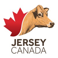 JERSEY CANADA logo - Similar company to Sun-North Systems Ltd