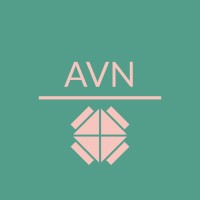 AVN Global logo - Similar company to Buyercaddy