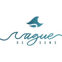 Vague de sens logo - Similar company to Appinsight