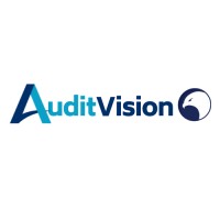 Audit Vision logo - Similar company to Auditvision