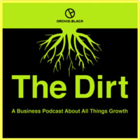 The Dirt logo - Similar company to Wave Edits