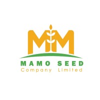 MAMO GROUP OF COMPANIES logo - Similar company to Web Technology Ltd.