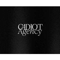 Cadiot Agency logo - Similar company to 2Sight