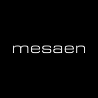 Mesaen Company LLC logo - Similar company to Talva Energy